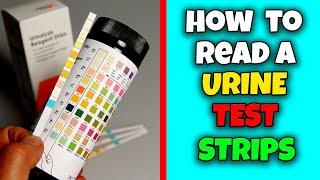 How to read Urine test strips  Health Educare