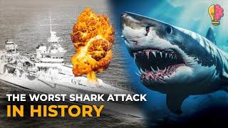 The Worst Shark Attack In Human History The U.S.S.  Indianapolis