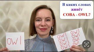 Как пишется по английски чаша капот капюшон птица челюсть боулинг ? #английскиеслова