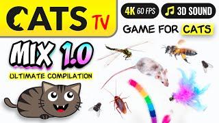 CAT TV - MIX 1 Ultimate Compilation  Game for cats  🪳