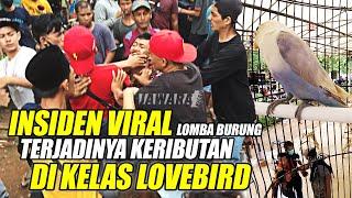 LAGI VIRAL  INSIDEN LOMBA BURUNG BERKICAU TERJADINYA KERIBUTAN SALING BAKUHANTAM DI KELAS LOVEBIRD