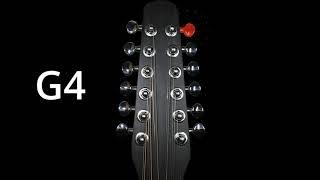 Tune Your 12 String Guitar Easy Way