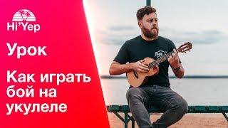 Укулеле для новичков. Как играть бой на укулеле?  Бой шестерка Бой восьмерка Бой с глушением