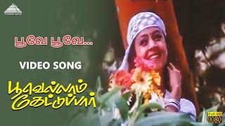 Poove Poove Video Song  Poovellam Kettuppar  Suriya  Yuvan Shankar Raja  Pyramid Audio