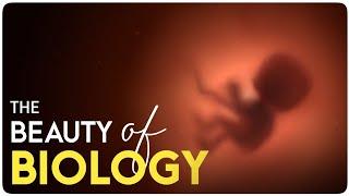 The Beauty of Biology  Biology Motivational Video