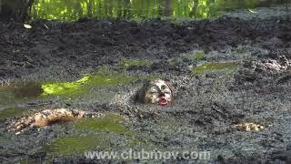 summer in quicksand bog