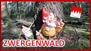 MERKWÜRDIGE FUNDE im ZWERGENWALD und Steinbruch Helmbrechts  Querkala - Quarkloch und Döbraberg