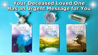  Your Deceased Loved One Has an Urgent Message for You  Timeless Pick a Card Reading 🩵🪽
