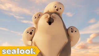 Baby Seals’ Hotspot  SEALOOK  EP.110