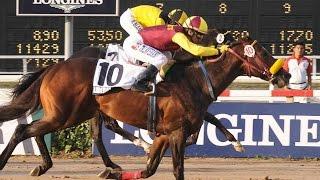 LIBERAL - 2015 Gran Premio Latinoamericano G1 2100m