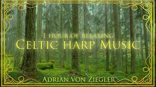 1 Hour of Relaxing Celtic Harp Music by Adrian von Ziegler