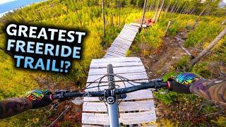 Riding and mastering a SUPER FUN Freeride Trail - Casino Royale