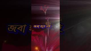 আমি যে মা তোর চরণে জবা হতে চাই  শ্যামাসংগীত