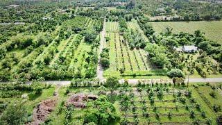 Check Out This 15-Acre Organic Tropical Fruit Operation