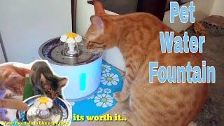 Cats Water Fountain Review  Pets flower fountain Unboxing #waterfountain#cats#catslifeph