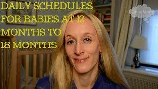 Daily schedules for babies at 12 months to 18 months  CloudMom