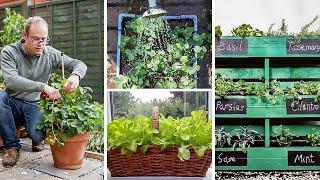 Clever Ways to Grow in Small Spaces Container Vegetable Gardening for Beginners