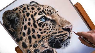 Leopard Speed Drawing  Realistic Pastel Art Tutorial