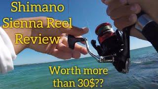 Shimano Sienna FG reel review