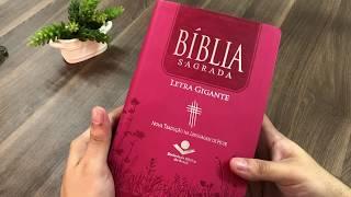 Bíblia Sagrada  NTLH  Letra Gigante  Pink  Luxo Com Índice
