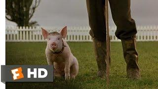 Thatll Do Pig - Babe 99 Movie CLIP 1995 HD