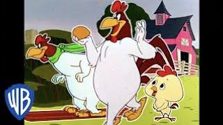 Looney Tunes en Latino  El Gallo Claudio en la granja  WB Kids