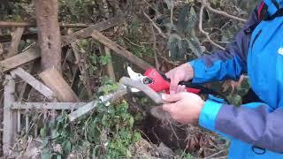 how to test finger protection progressive cut electric pruning scissors shears pruners