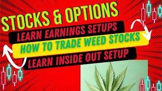 How to Trade News Plays Weed Sector & Earnings Setups with Stock and Options in Stock Market