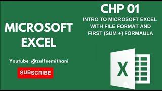 How to start Microsoft excel detail about file format and very first formula.? #youtube #msexcel