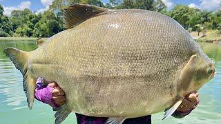 SONHO REALIZADO TAMBA GIGANTE DE 35KG PEGO NO ENGORDA DO MAEDA COM UMA ISCA FATAL