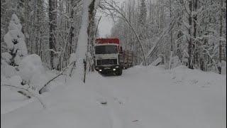 Трое суток в работе. Трудности при перевозке длинного леса.