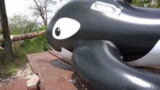 INFLATABLE WHALE - OVERINFLATION - ACCIDENTAL POP - PUMPING - DEFLATING - INFLATING