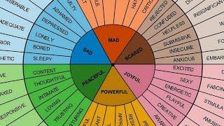 Understanding English adjectives  Canguro English