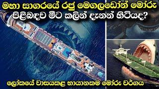 සාගරයේ රජ කල මෙගලඩෝන් මෝරු  Megalodon