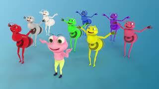 Hormiguitas de Colores con el Baile del Sapito  Videos para niños  Videos infantiles para bailar