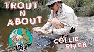 TROUT scout on the COLLIE RIVER  ROUGH NUTS