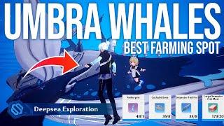 Umbra Whales Farming Location Research Materials - Tower of Fantasy 2.4