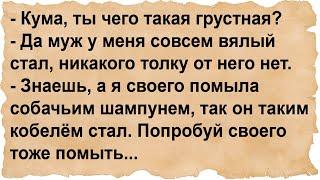 Я своего собачьим шампунем помыла так он таким кобелём стал...