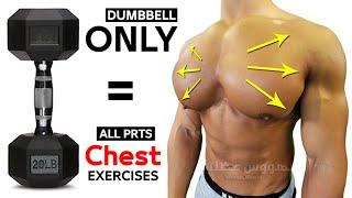 12 PERFECT EXERCISES CHEST WORKOUT WITH DUMBBELLS 