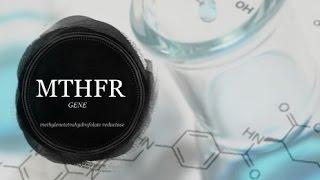 MTHFR Methylenetetrahydofolate Reductase  - Introduction
