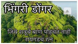 BHINGARI UNEXPLORED PLACE NEAR #RAIGAD FORT भिंगरी डोंगर रायगड लगतचा टेहळणी गड #Marathi vlogs