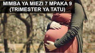 MIMBA YA MIEZI SABA MPAKA MIEZI TISA TRIMESTER YA TATU