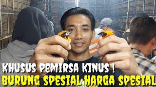 BUSYET DAH  INI KIOS BURUNG APA PASAR AMAL ? PENGUNJUNG PADAT SAMPE GAK BISA GERAK