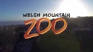 The Welsh Mountain Zoo Documentary - TEASER