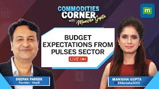 Union Budget 2024 Expectations From Agriculture Sector  Commodities Corner  Live