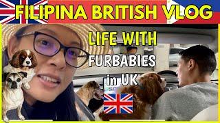 BUHAY SA UK NG MAY FURBABIES PINASYAL NAMIN ANG MGA ASO MASAYA ANG LAHAT 