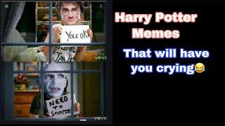 Harry Potter memes that will have you crying  tiktok