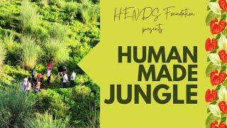 Can a Jungle be Human Made ? Check out the First Human Made Jungle in Haridwar  S. 1- Ep. 1