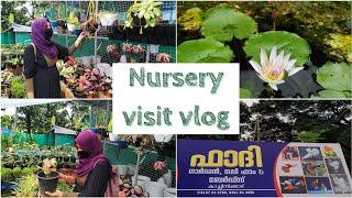 Nursery visit at kachinikkad malappuram  Nursery visit malayalam capsicums cook & vlog