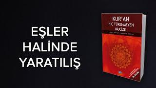 Eşler Halinde Yaratılış Mucizesi  Kuran Mucizeleri